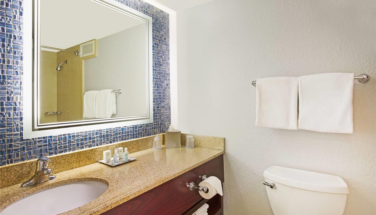 Zimmer - Wyndham Lake Buena Vista - Disney Springs® Area