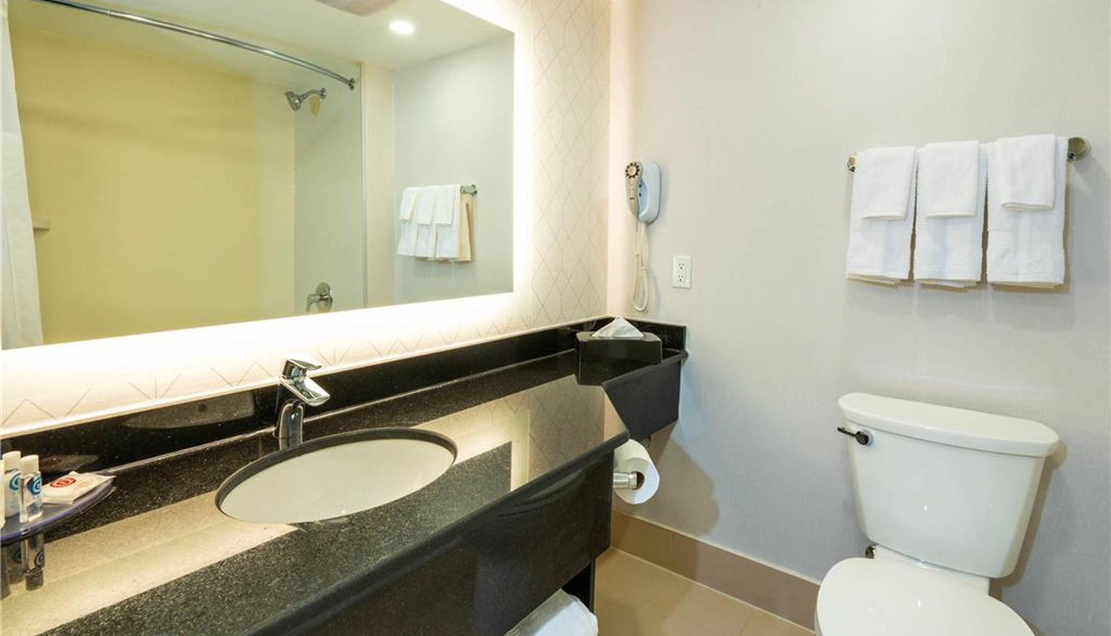 Camera - Comfort Inn & Conference Centre Toronto Airport