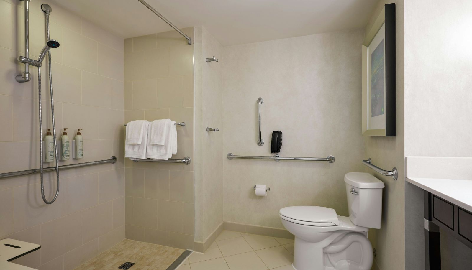 Zimmer - Renaissance Arlington Capital View Hotel