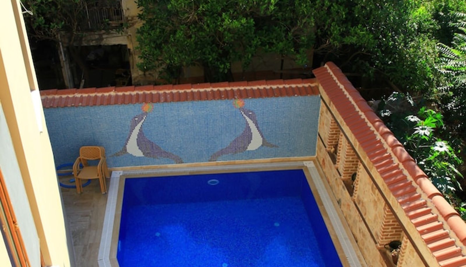 Pool - Bacchus Pension