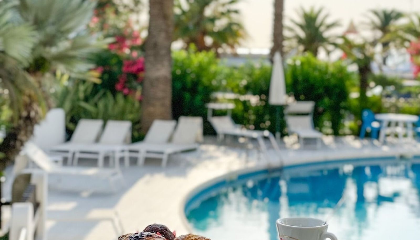 Bar - International Hotel & Suite