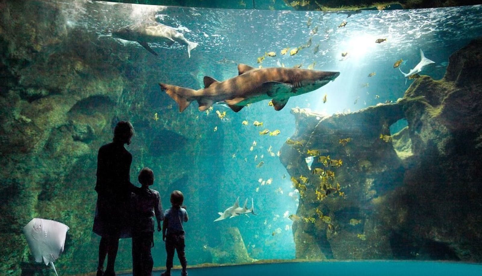 Pool - Hotel de l'Ocean