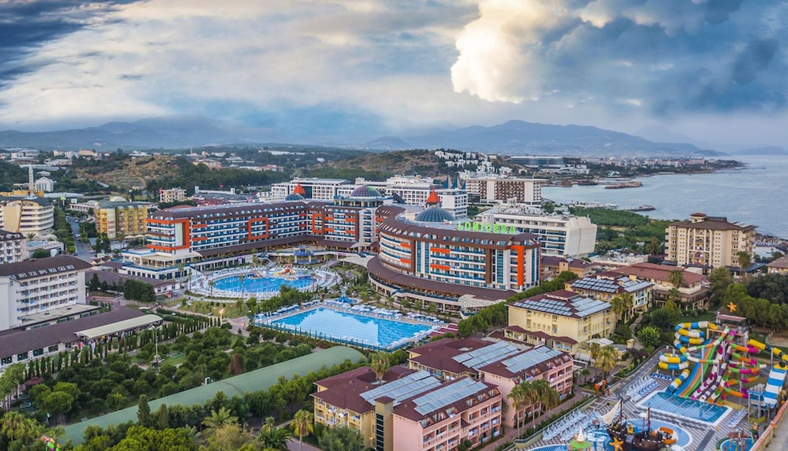 Pool - Lonicera World