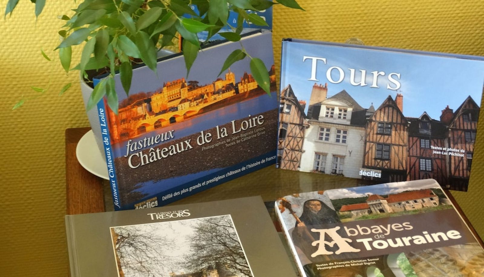 Hal - Hotel Le Castel Fleuri