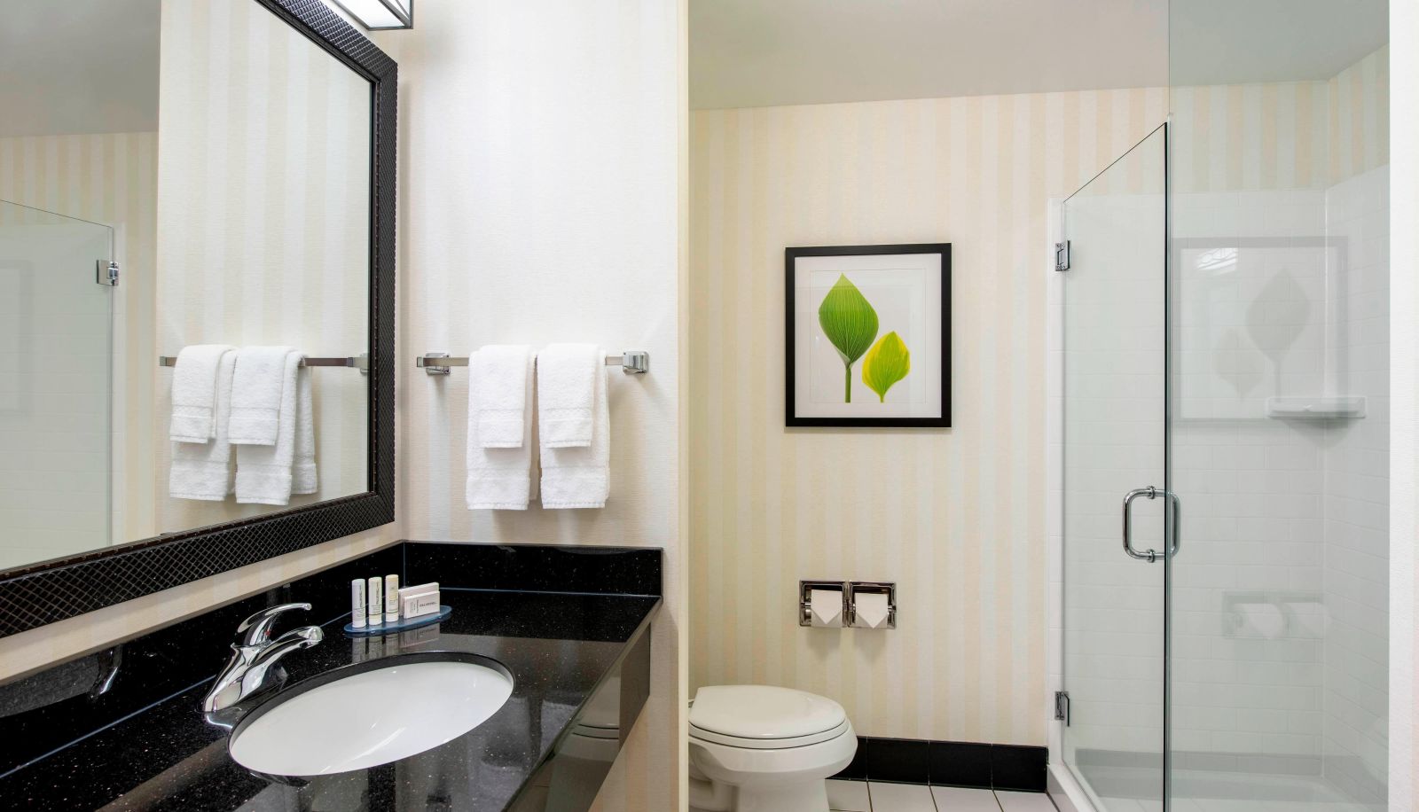 Room - Fairfield Inn and Suites by Marriott Winnipeg
