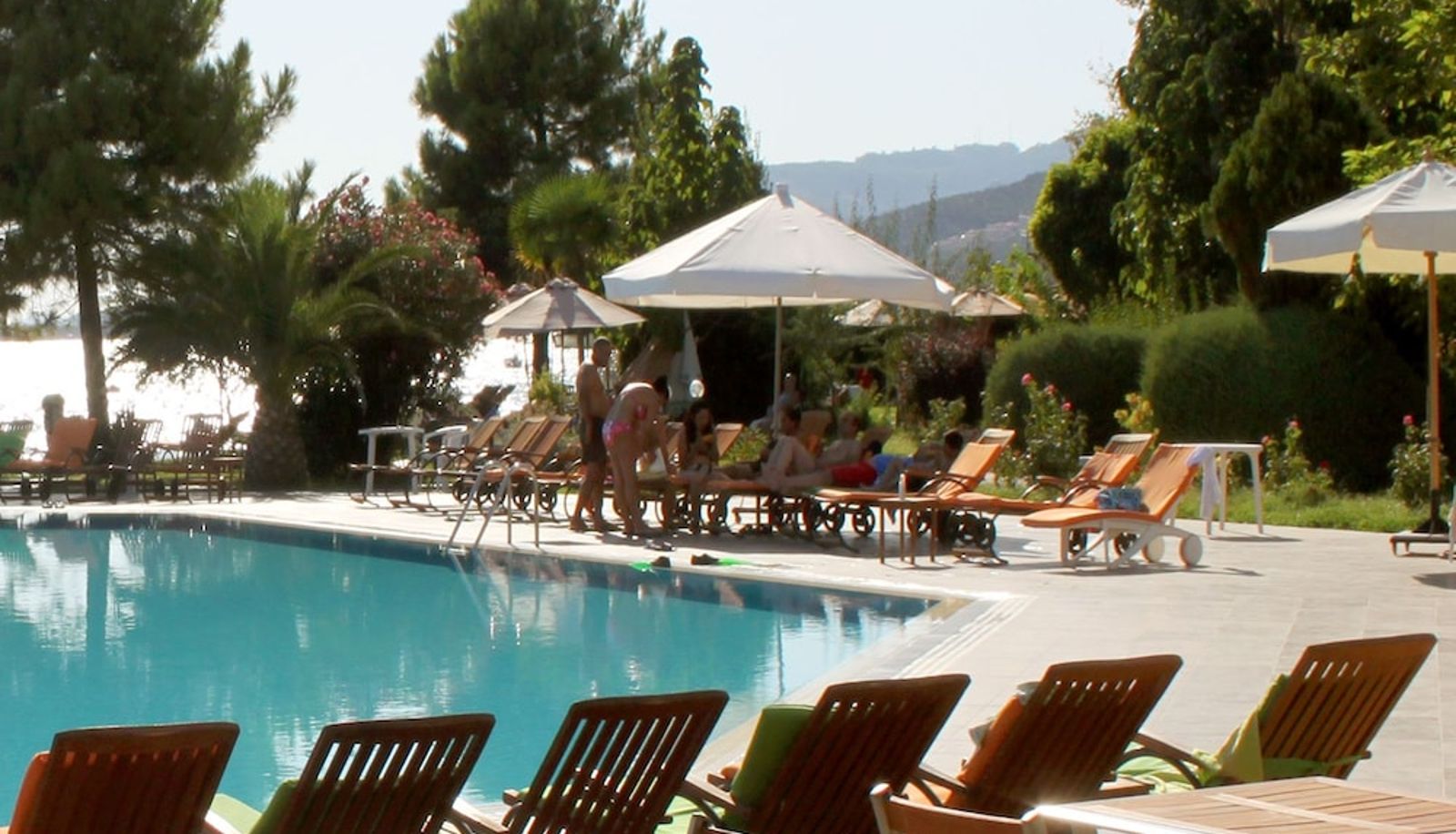 Pool - Hotel Rena
