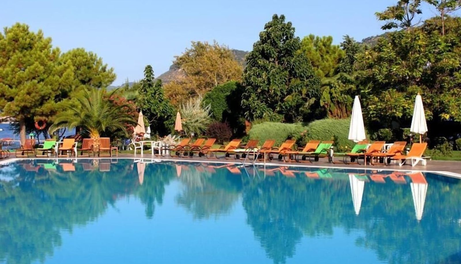Pool - Hotel Rena