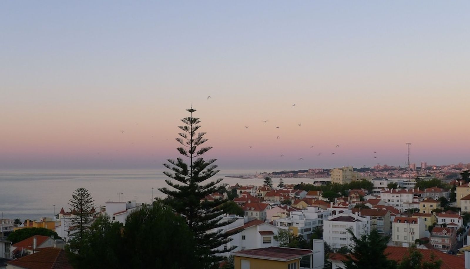 Info - Dolce Vita Guesthouse