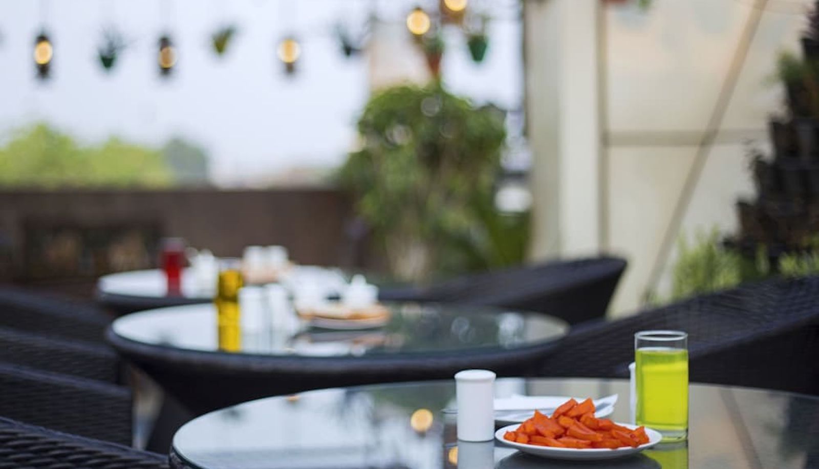 Restaurant - Trimrooms Palm D'or