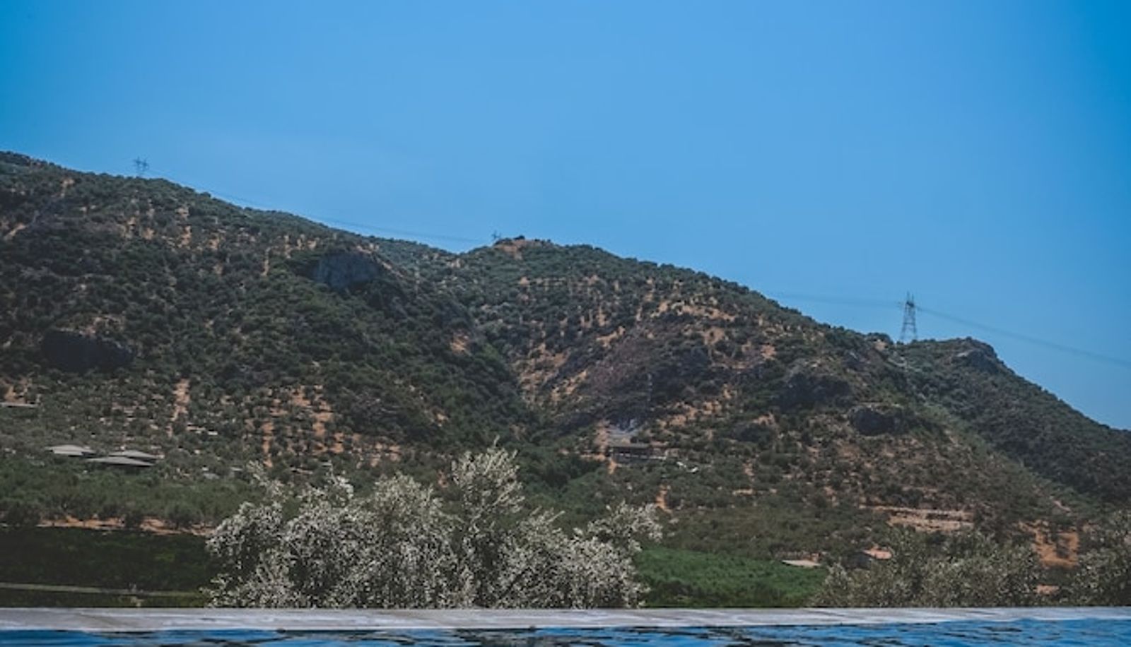Pool - Natureland Efes