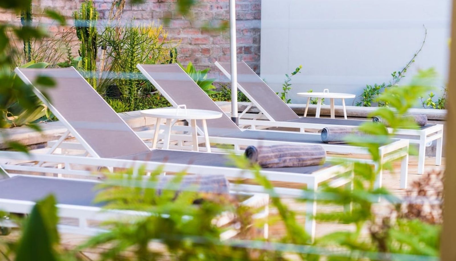 Basen - The Rex Hotel