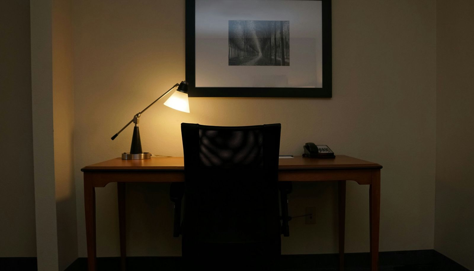 Kamer - Fairfield Inn and Suites by Marriott Denver Aurora Parker