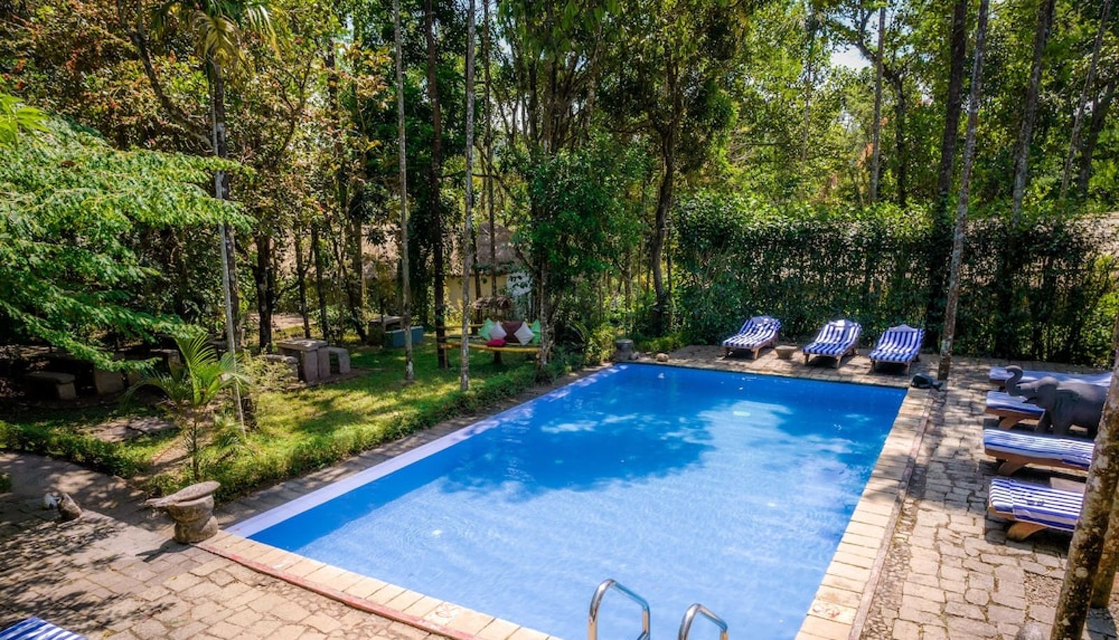 Pool - Amritara Shalimar Spice Garden Resort & Spa