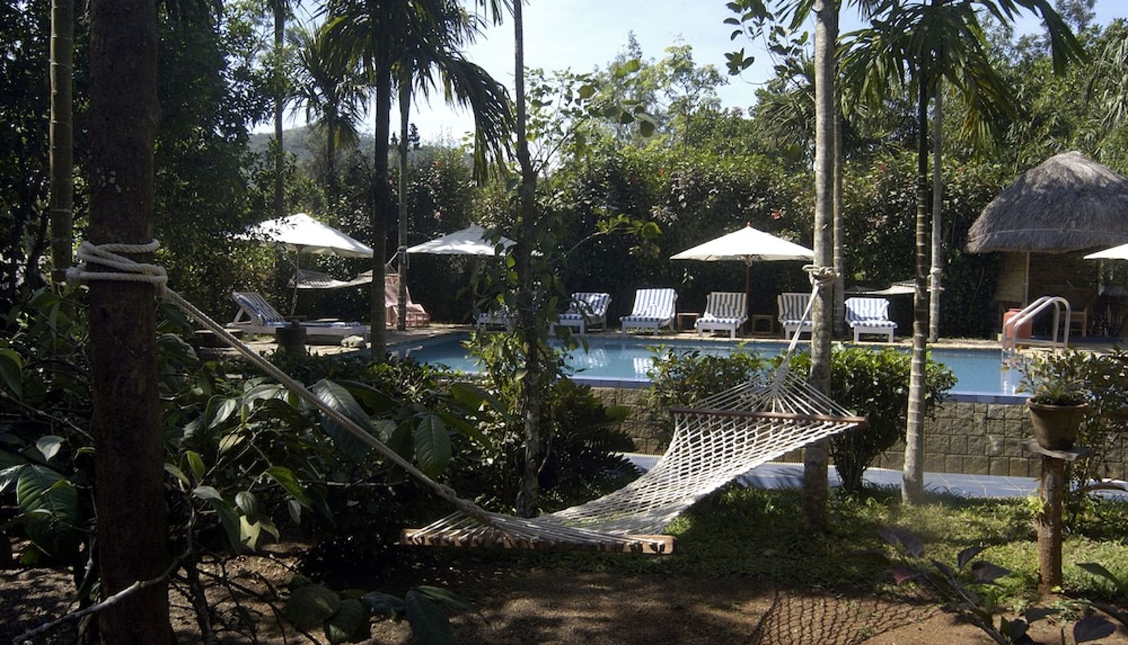 Pool - Amritara Shalimar Spice Garden Resort & Spa