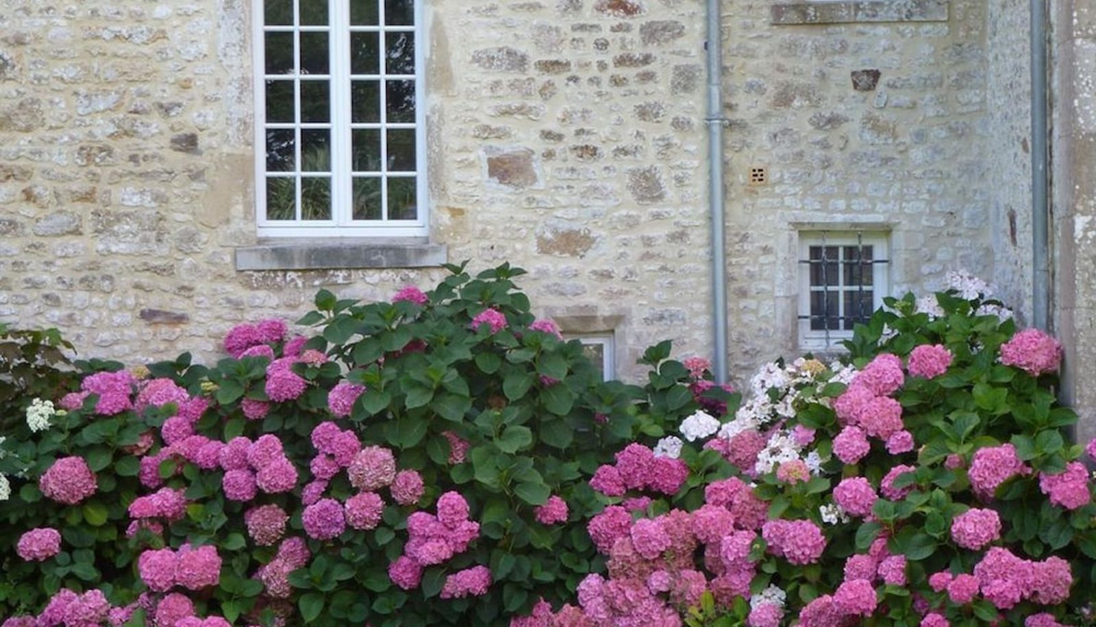 Garten - Manoir de Savigny