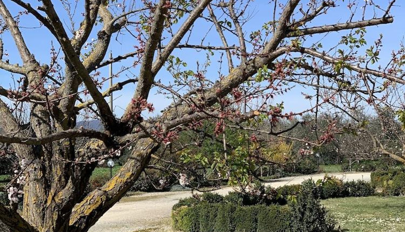 Otoczenie - Villa Il Crocicchio