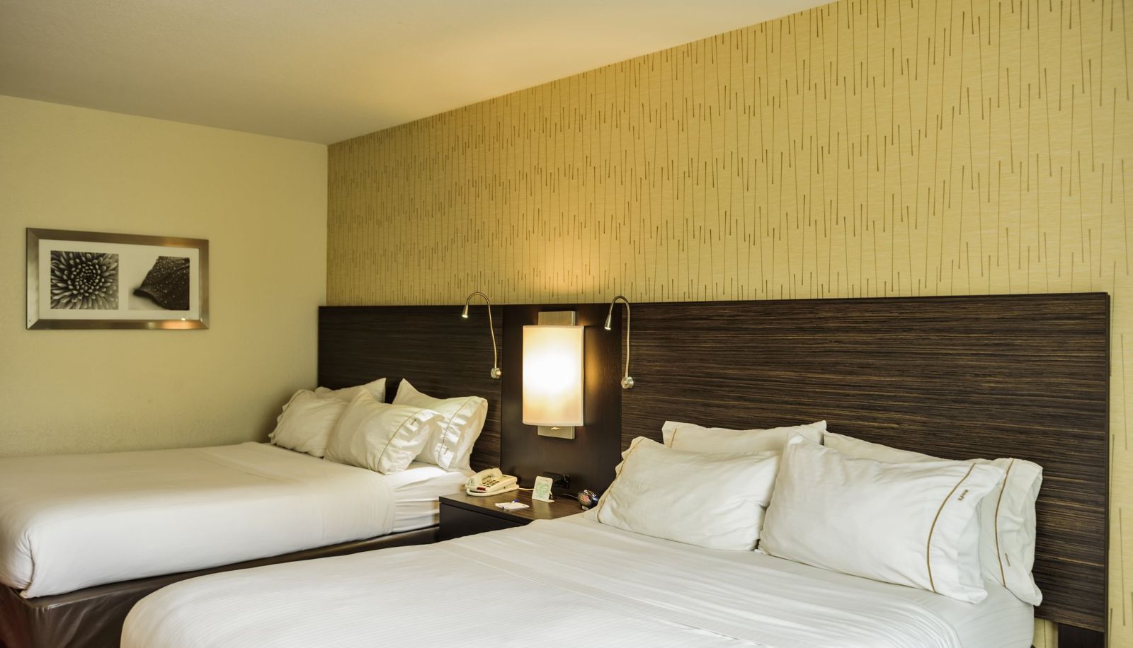 Zimmer - Holiday Inn Express BRADFORD by IHG