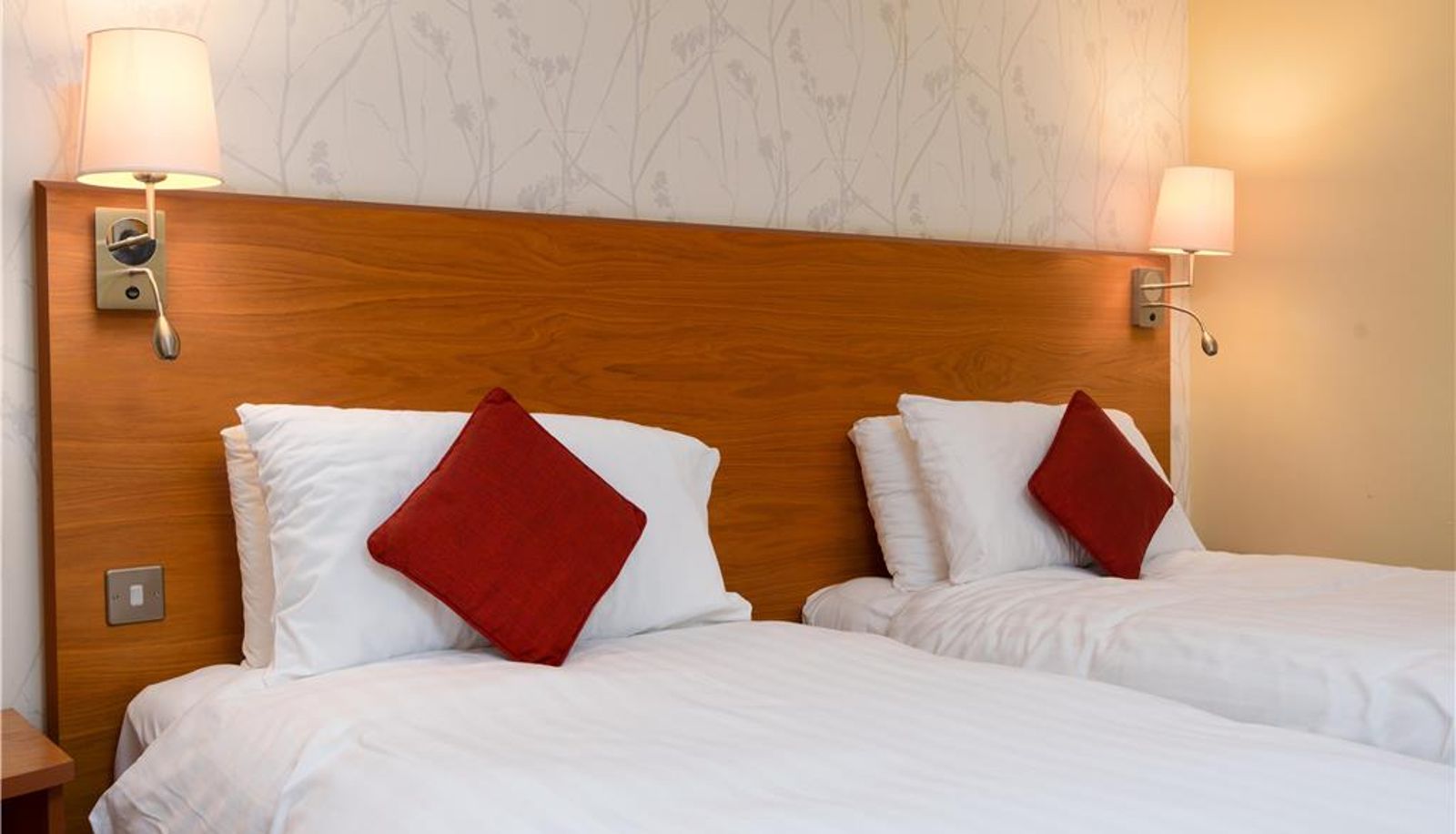 Zimmer - Best Western Plus Milford Hotel