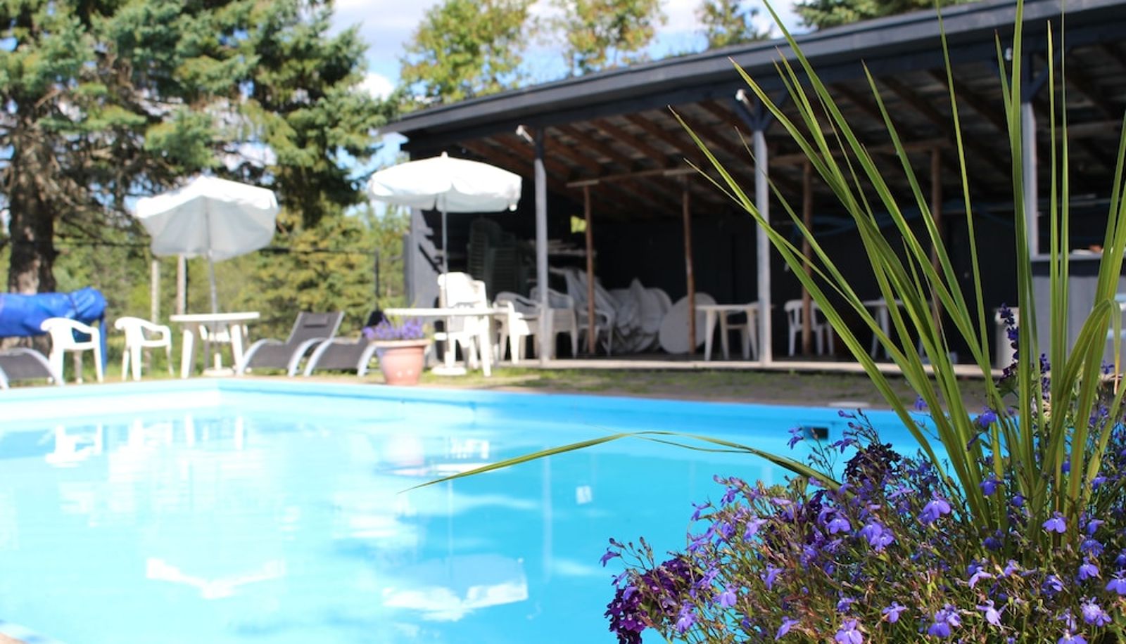 Pool - Timberland Motel