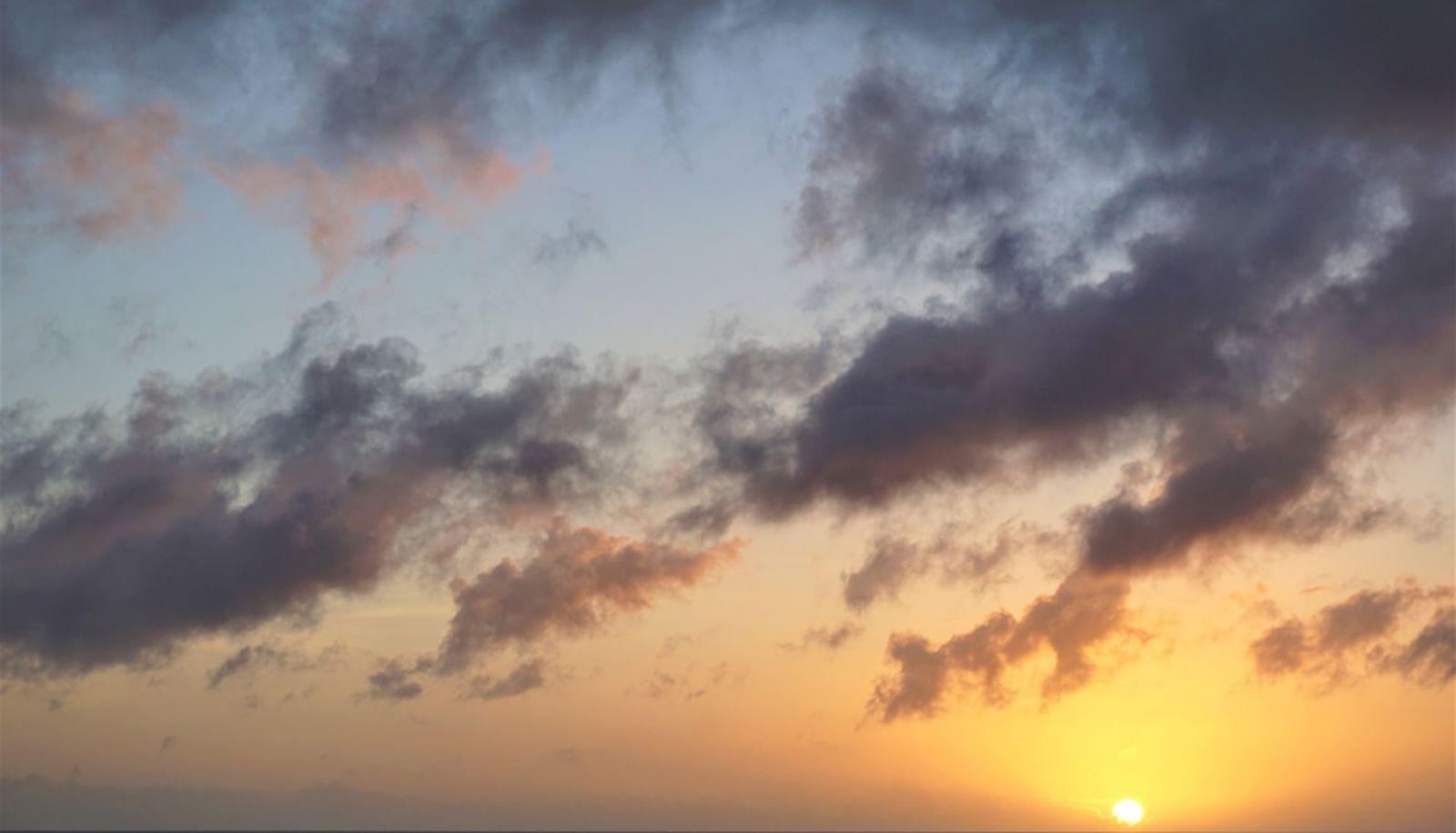 Info - Okinawa Ocean Front Hotel