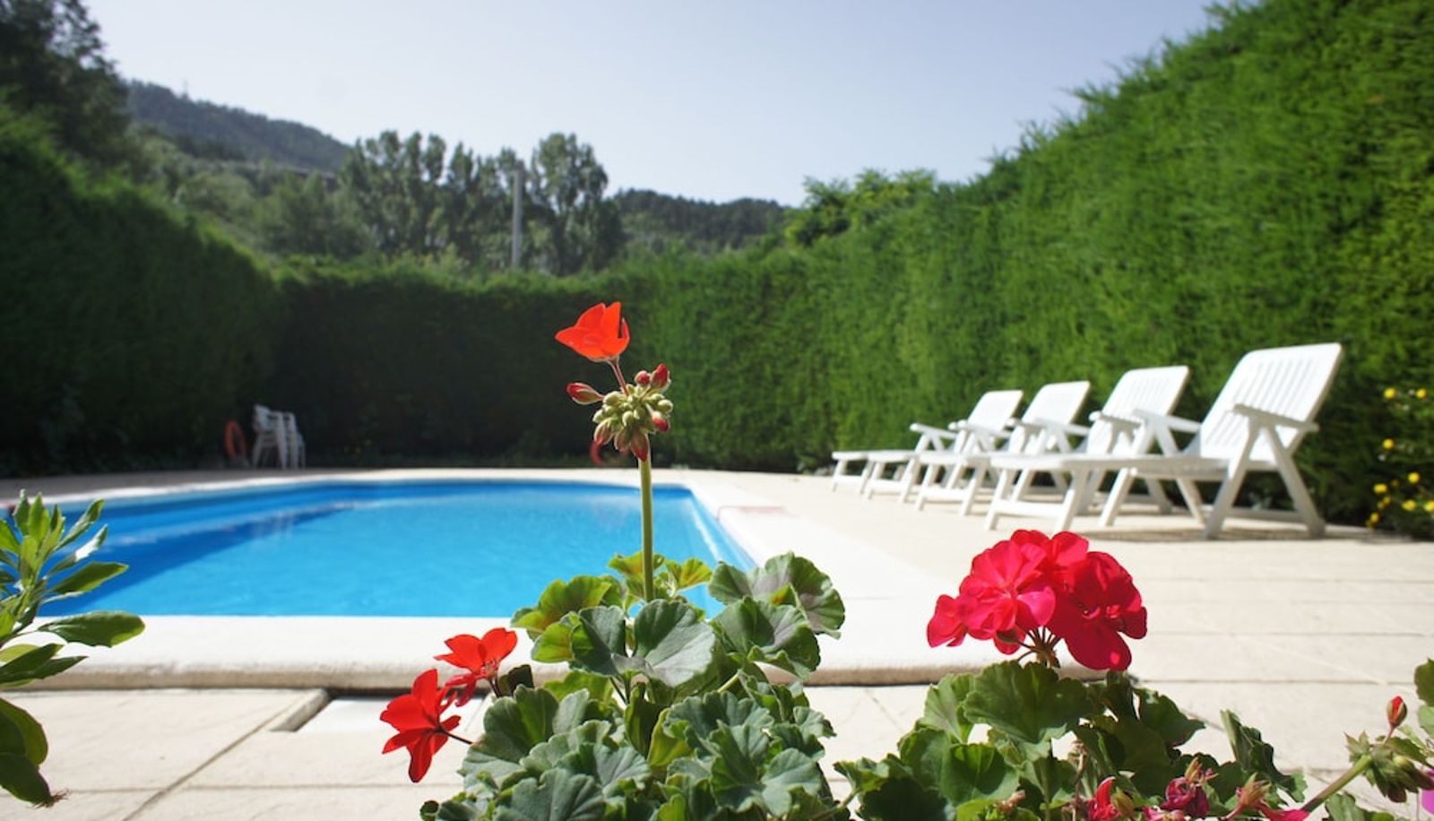 Basen - Hotel la Planada