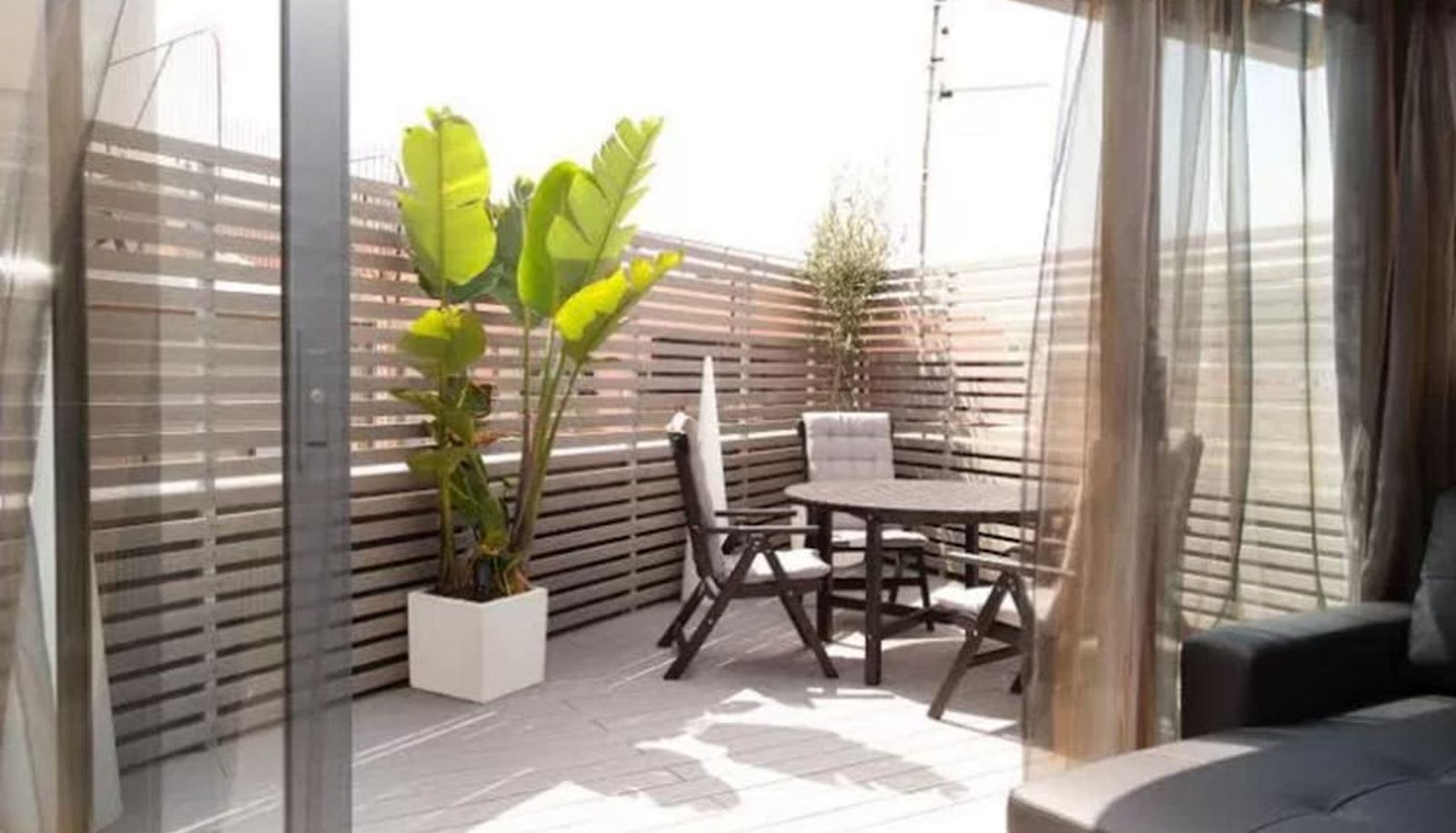 Suite - Dalia Ramblas