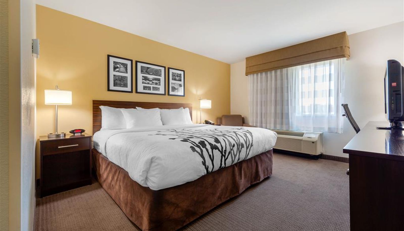 Room - Sleep Inn & Suites Bismarck I-94