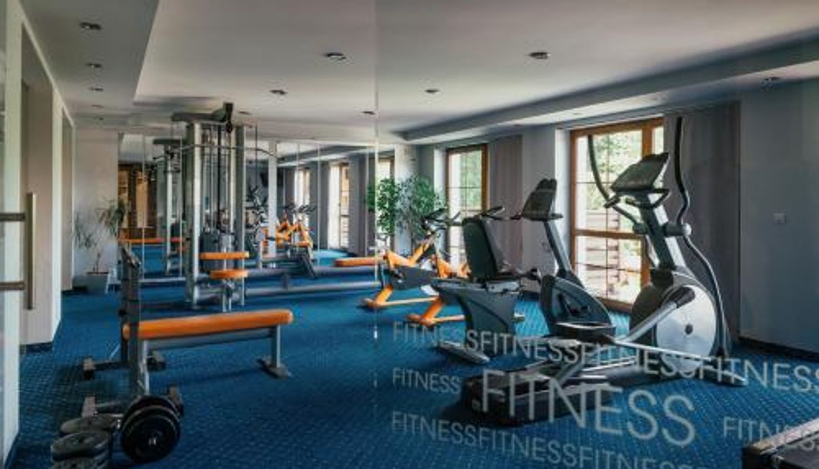 Centrum odnowy biologicznej i fitness - Hotel Troyer