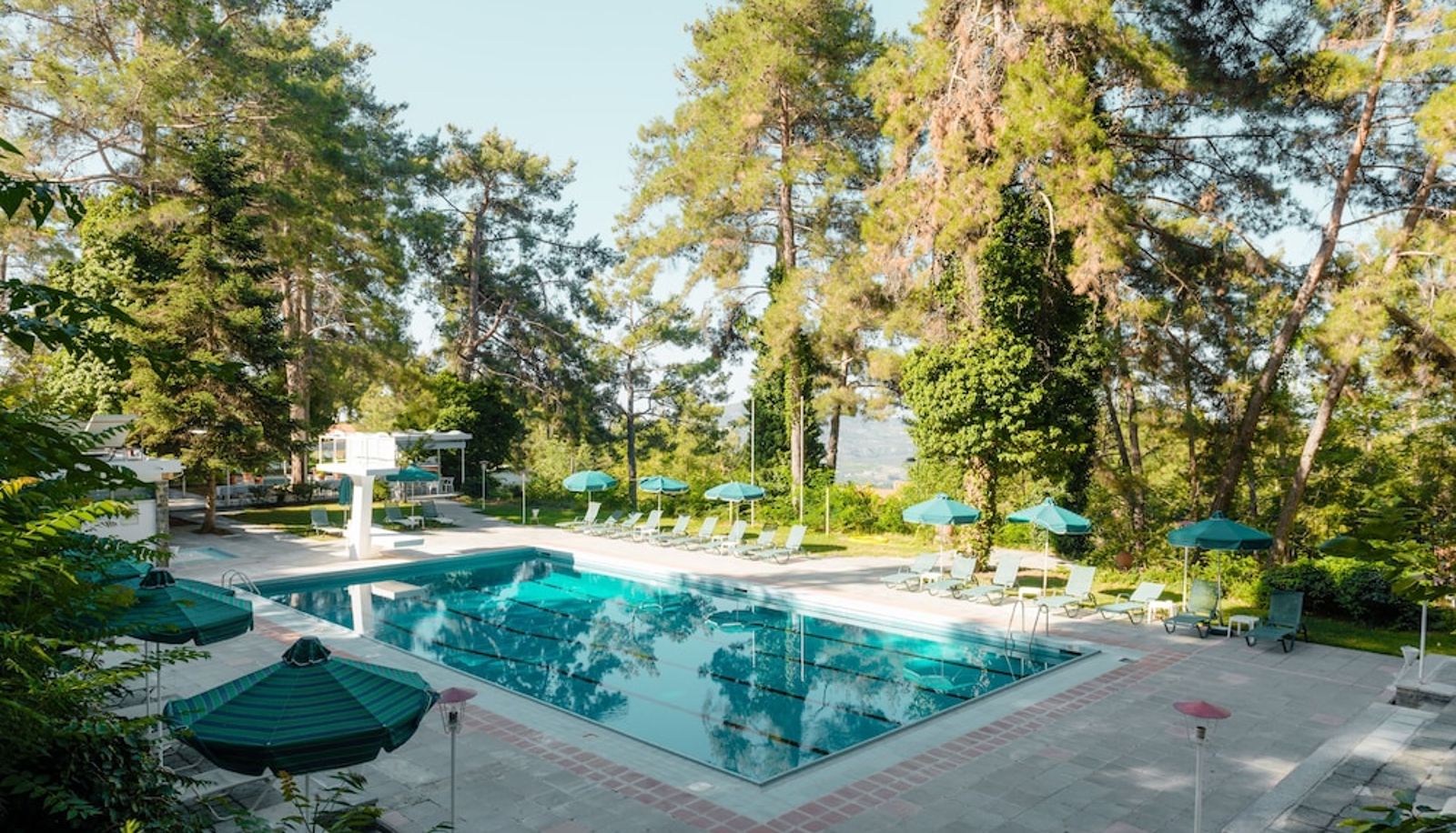Pool - Forest Park Hotel