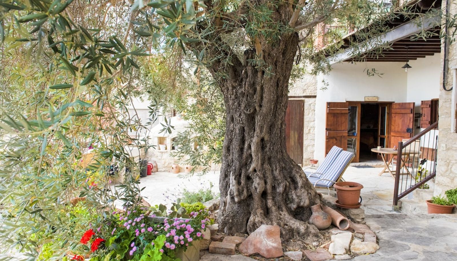 Terrazza - Vouni Lodge