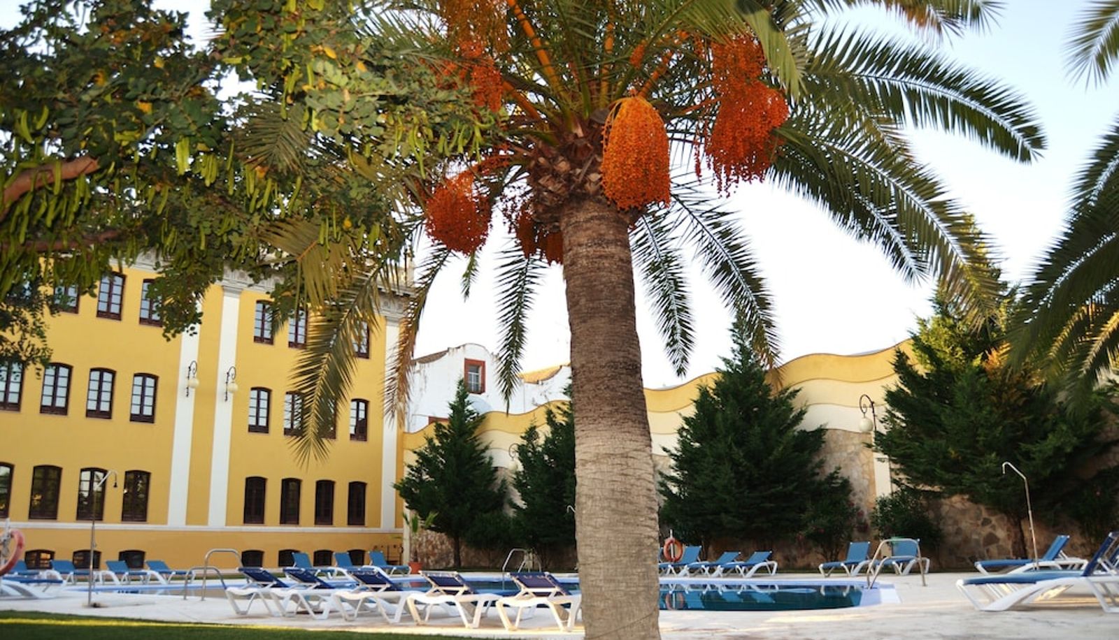 Piscina - Hotel El Carmen