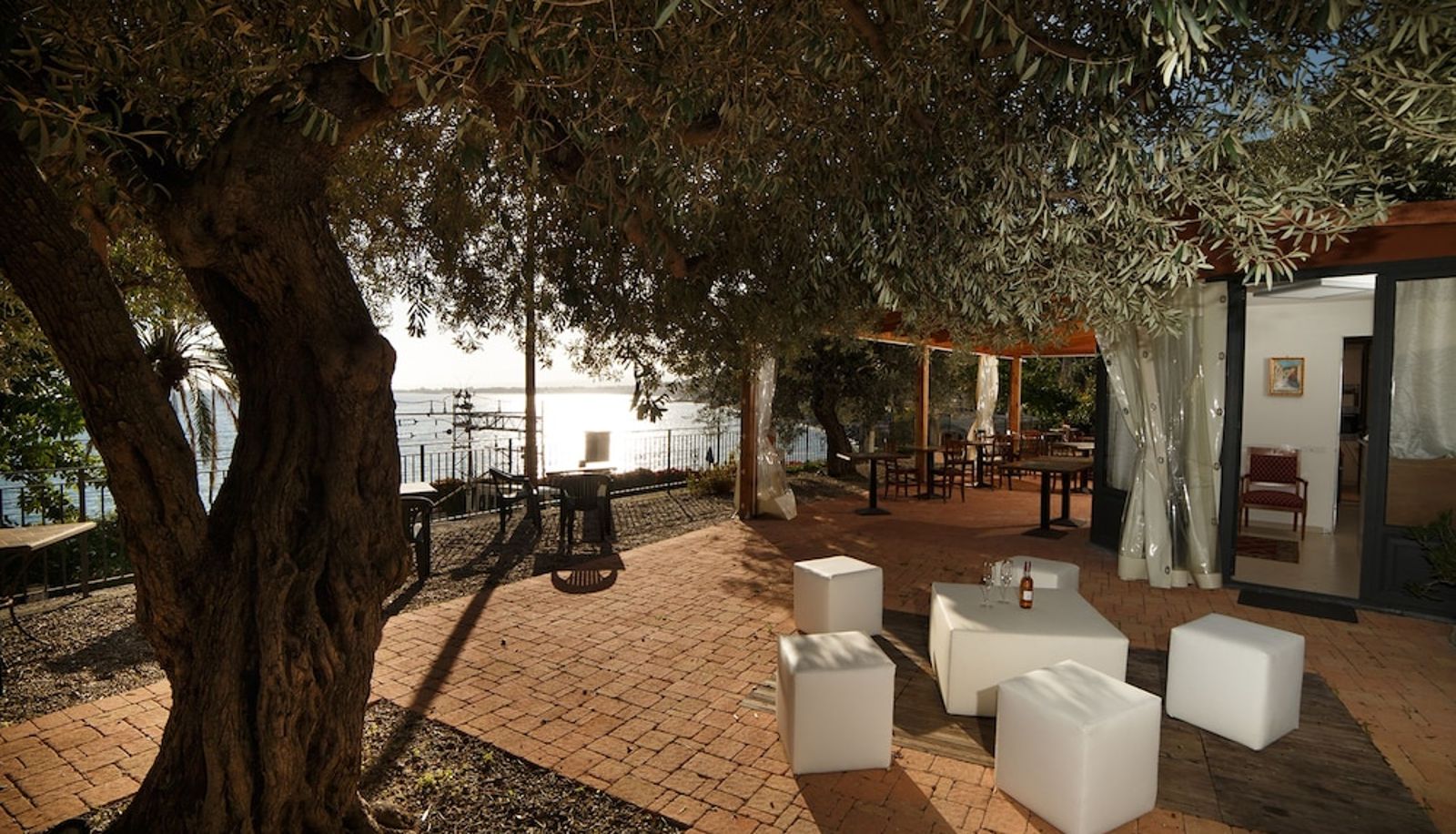 Garten - Villa degli Ulivi