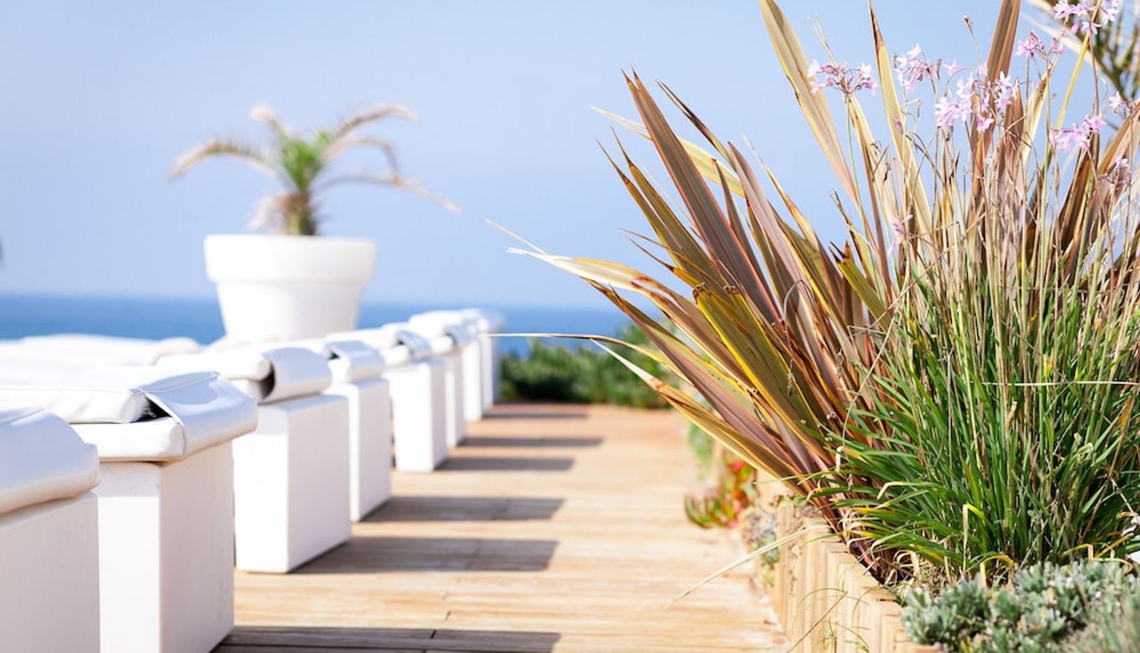 Pool - Le Grand Hotel de la Plage