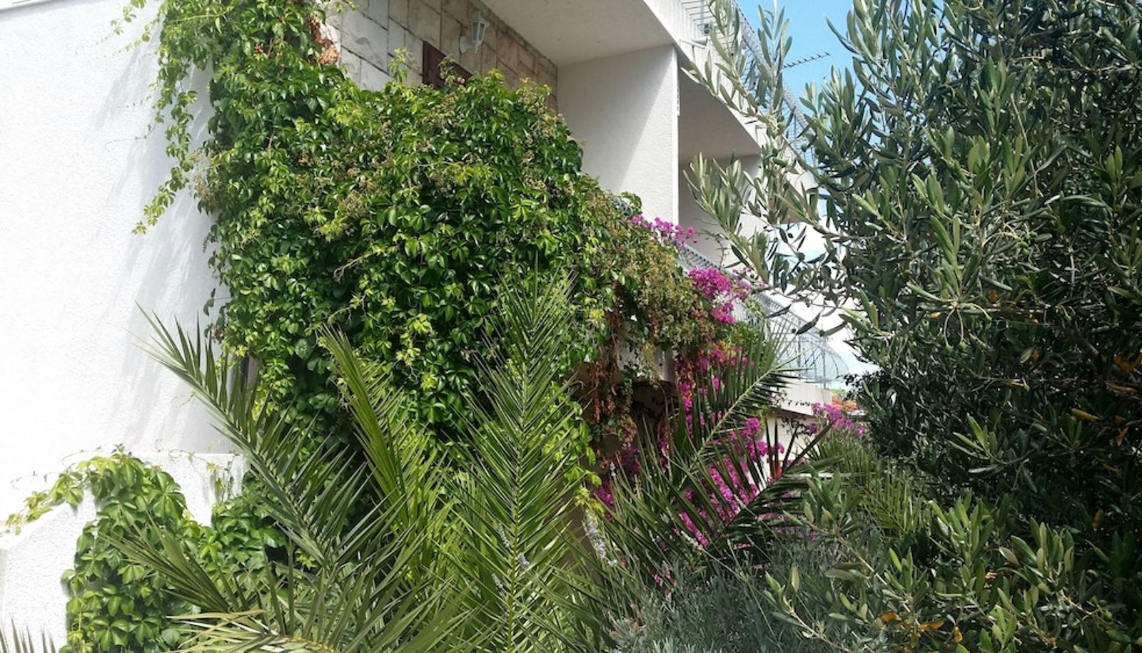 Garden - Villa Sandra Hvar