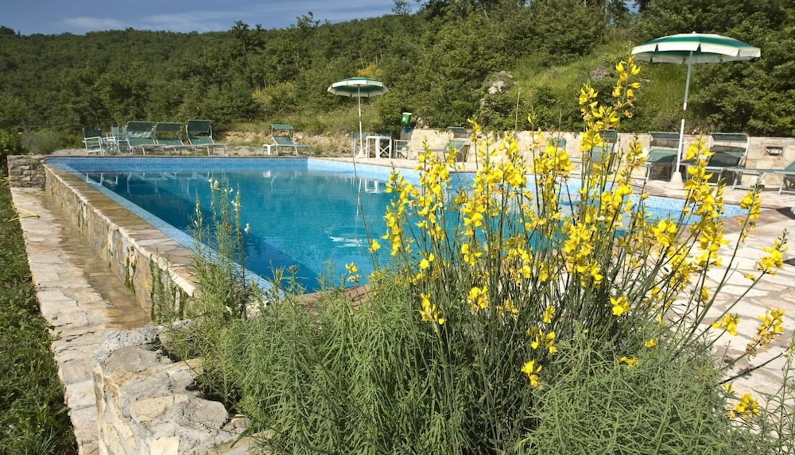 Pool - Le Noci