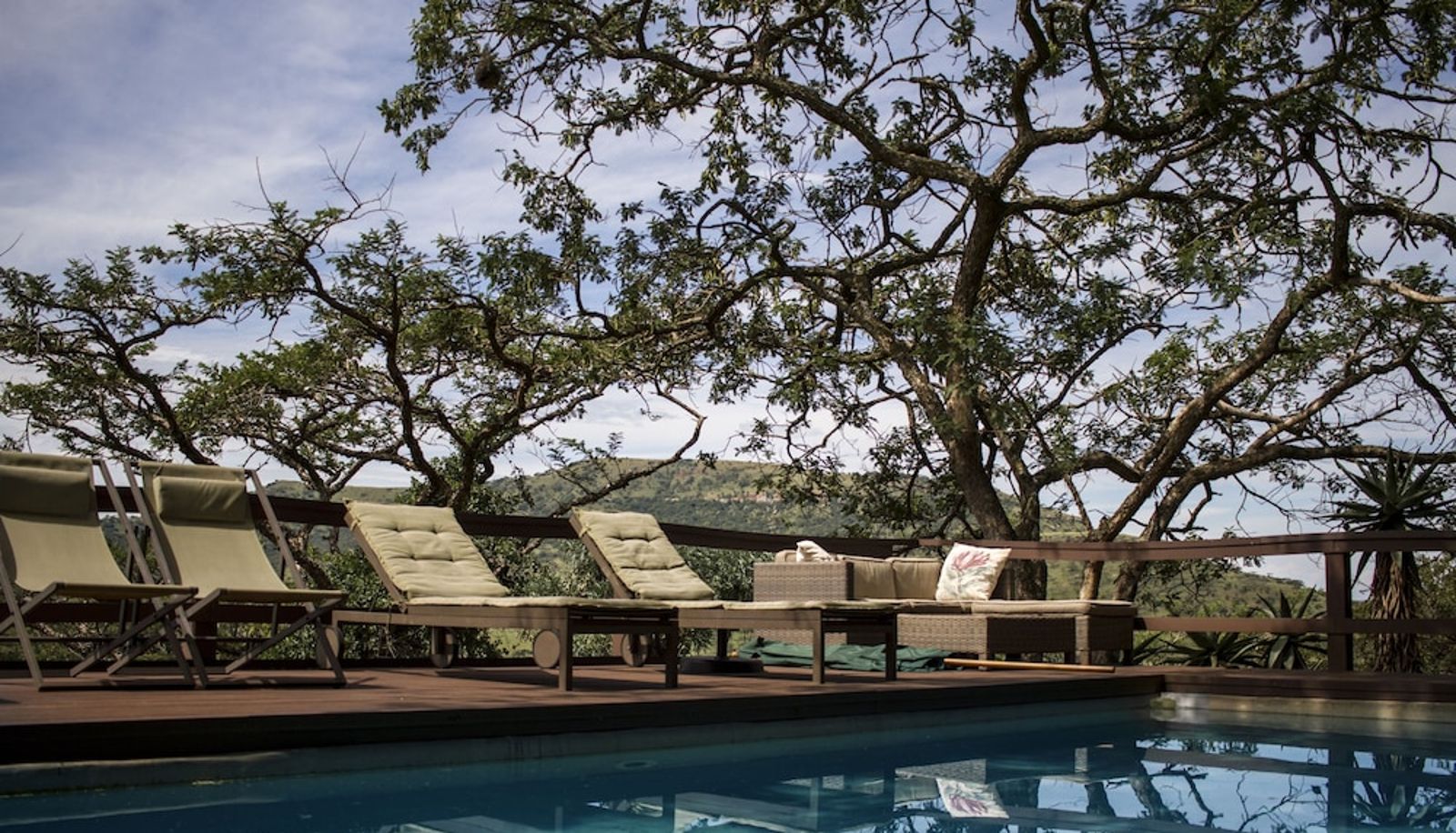 Pool - Three Tree Hill