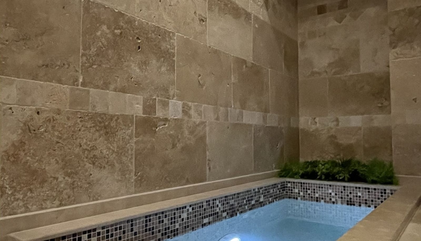 Piscina - Hotel Alexandar Lux