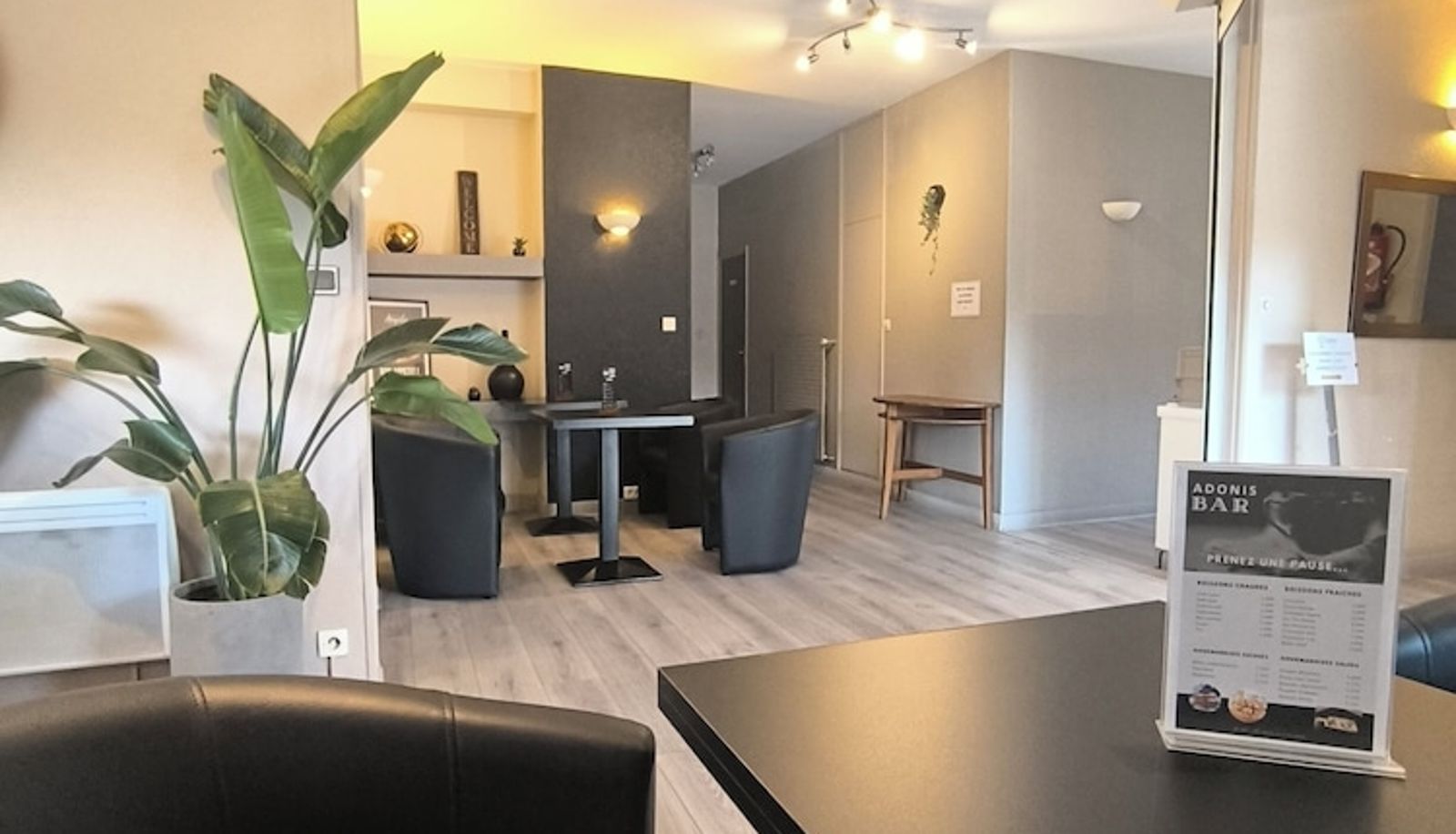 Rezeption - Adonis Lyon Est Hôtel Artys