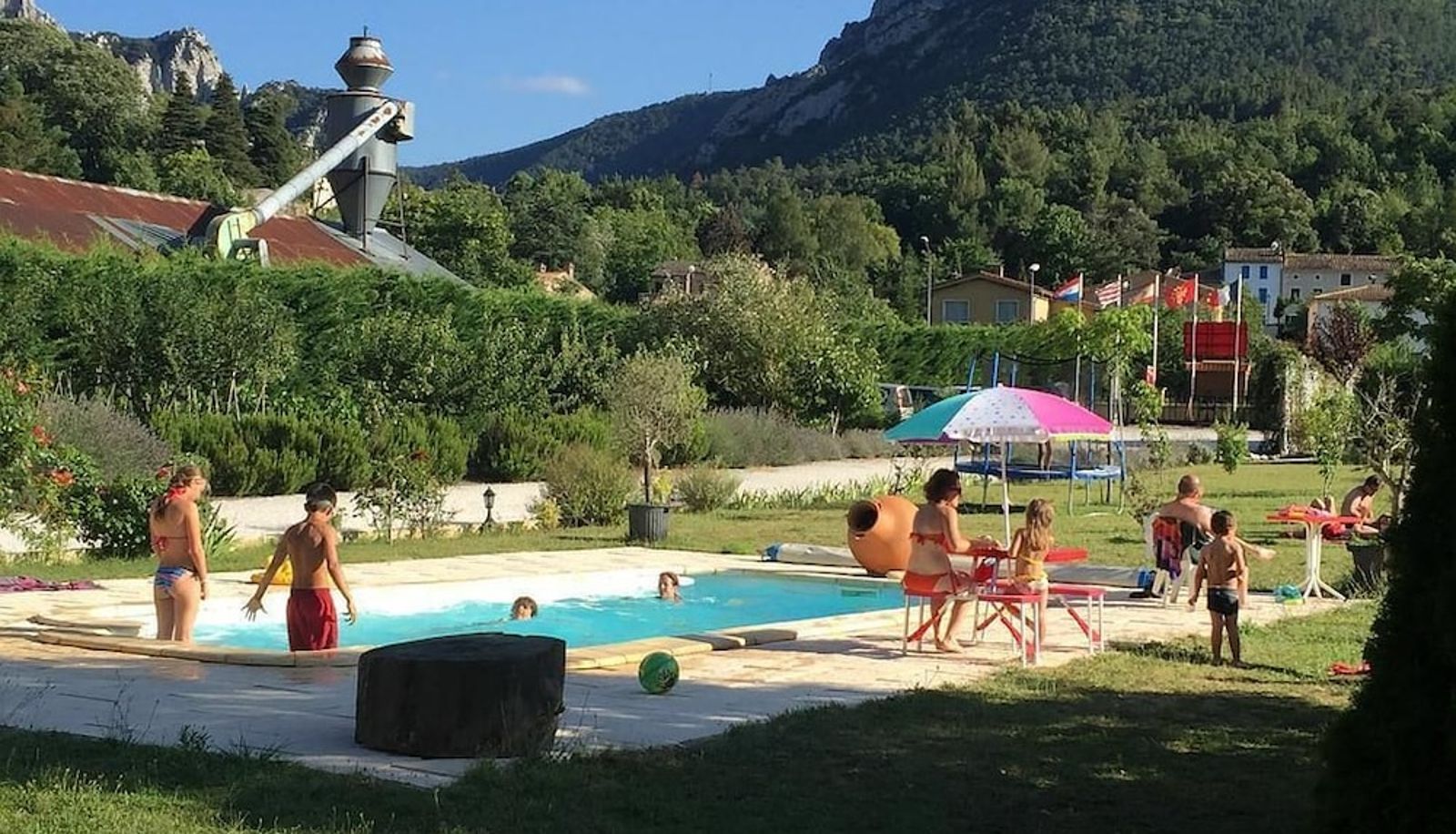 Piscina - Rose des Pyrénées