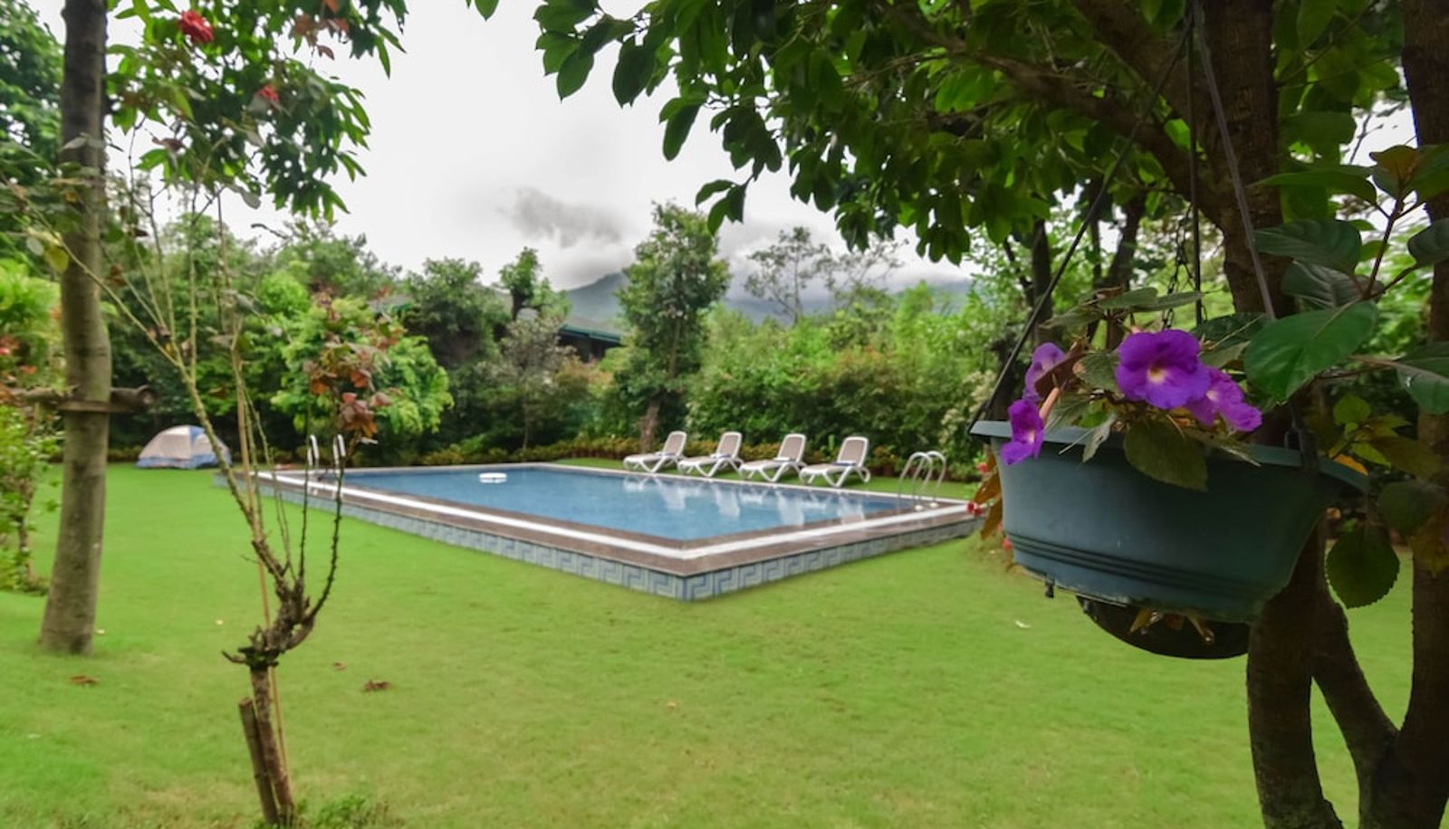Piscina - Shaheen Bagh - A Luxury Resort & Spa