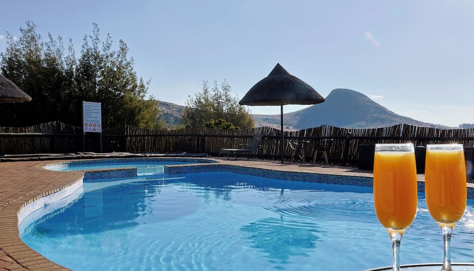 Pool - LIONSROCK Big Cat Sanctuary