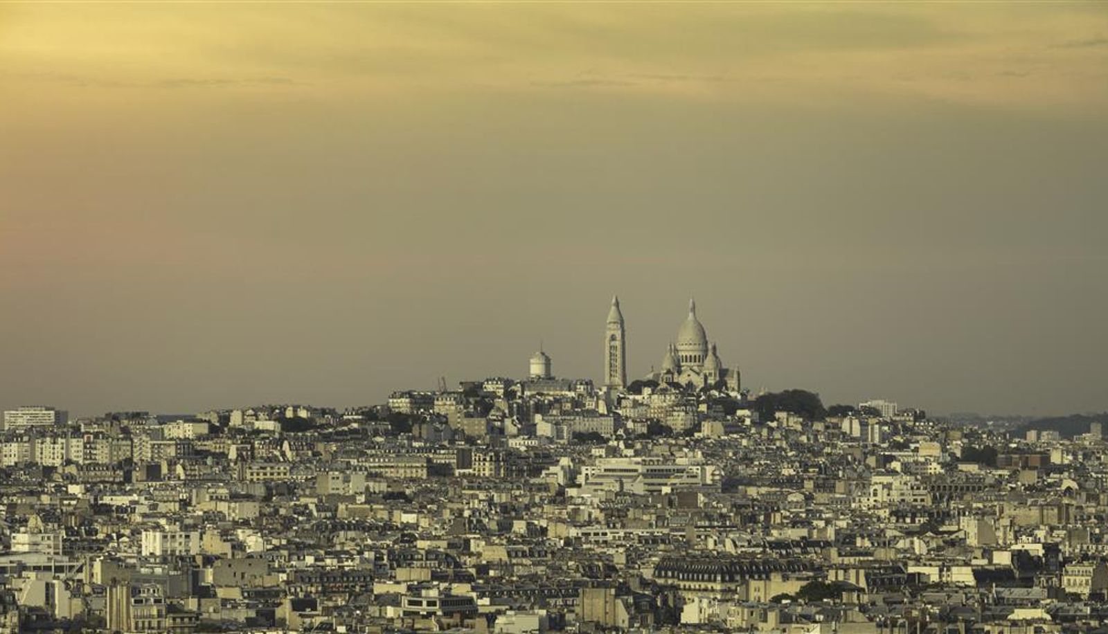 Room - Hyatt Regency Paris Etoile