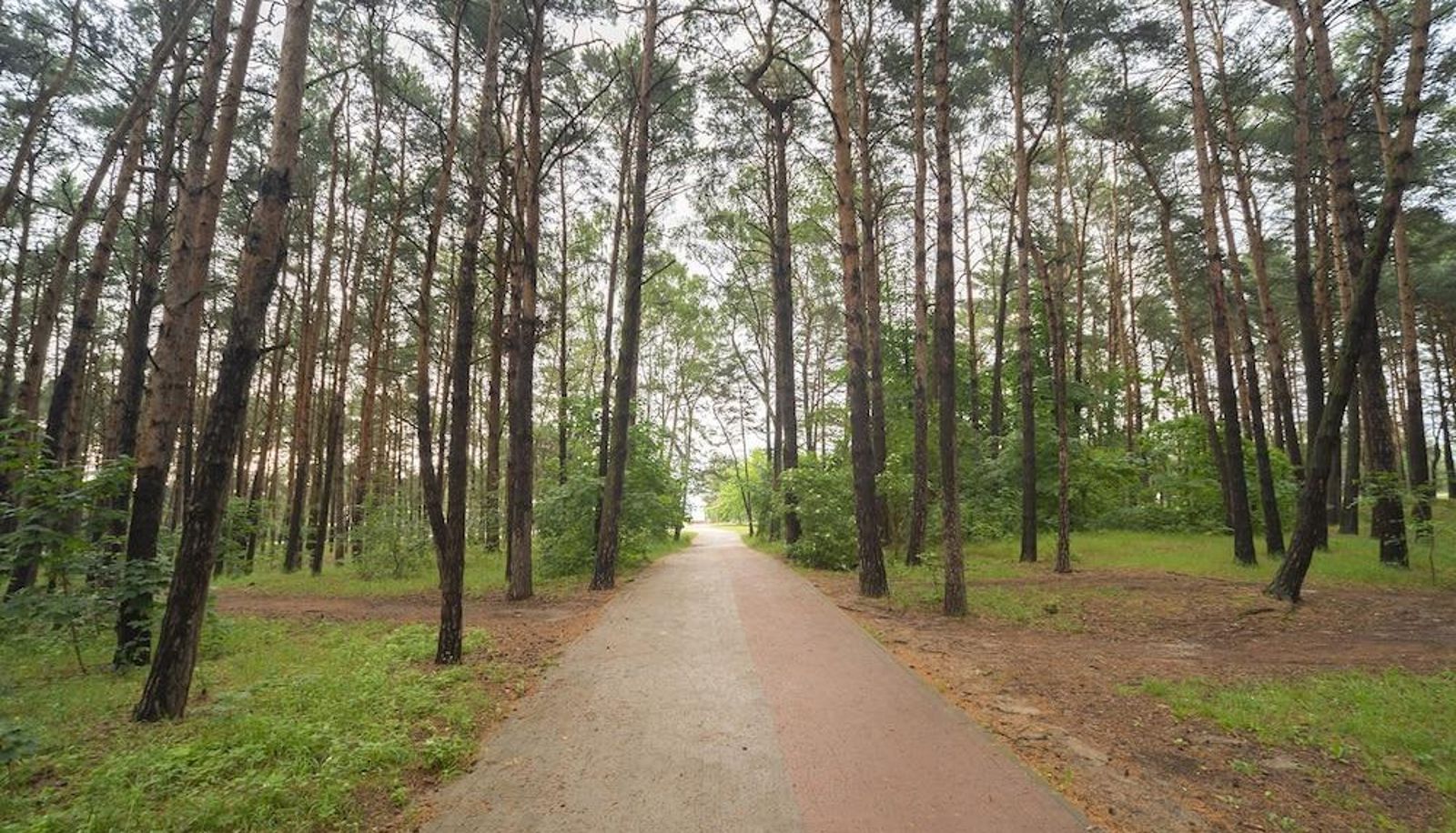 Area esterna dell'hotel - Little Home - Neptun Park