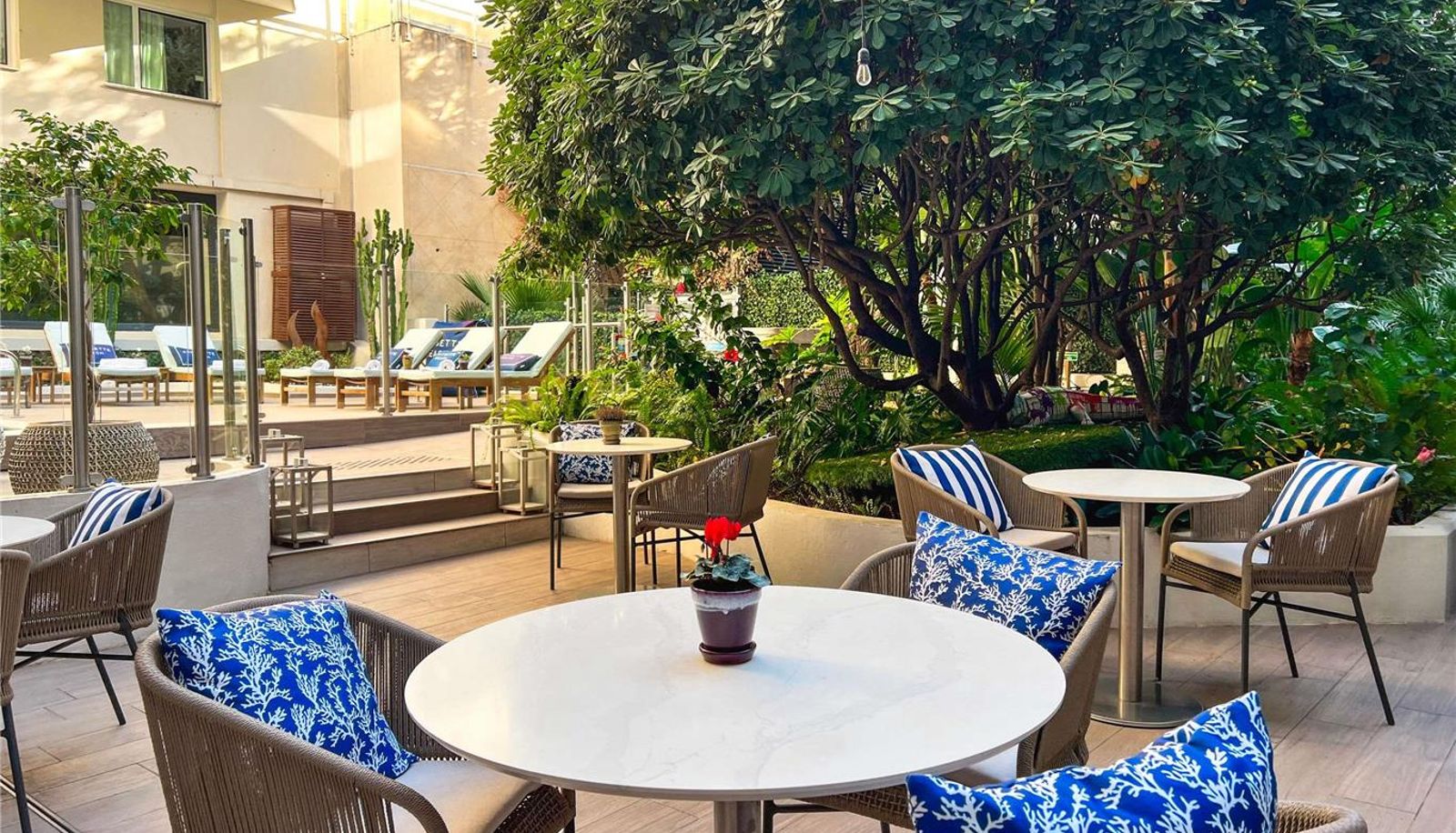 Bar - Croisette Beach Hotel Cannes - MGallery Collection