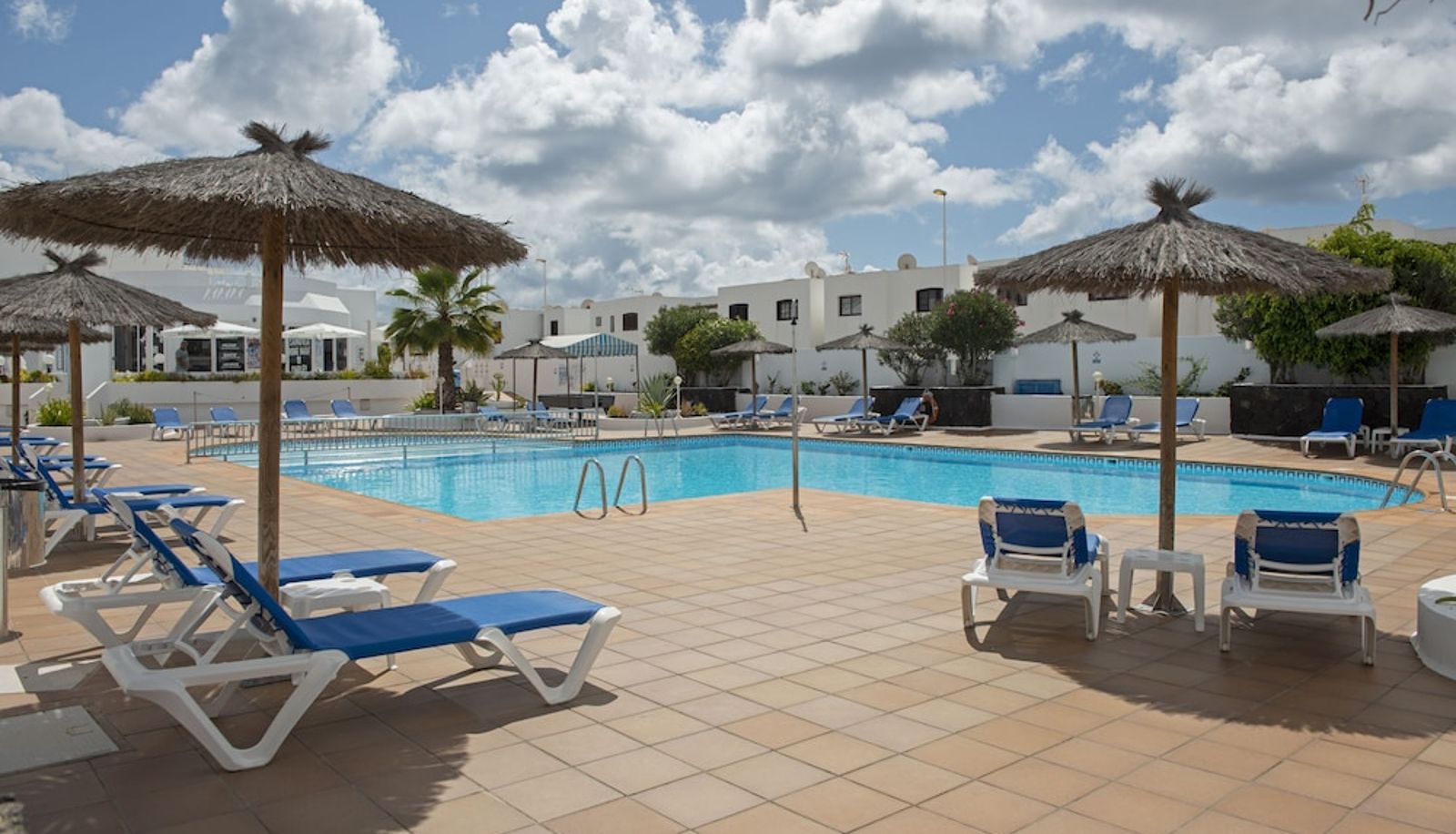 Pool - Apartamentos LIVVO Oasis