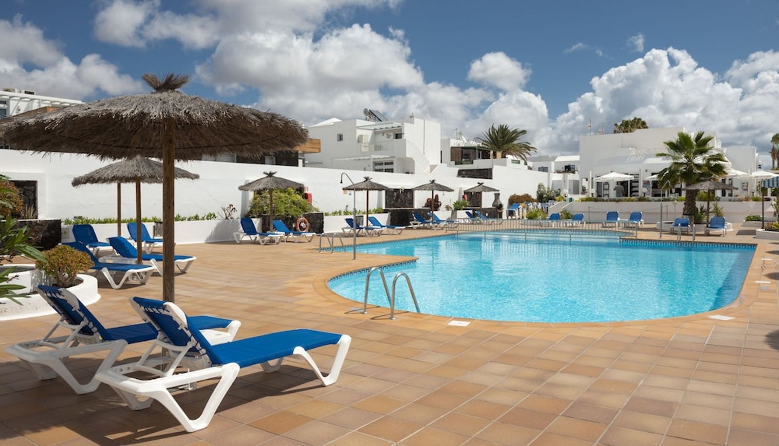 Pool - Apartamentos LIVVO Oasis