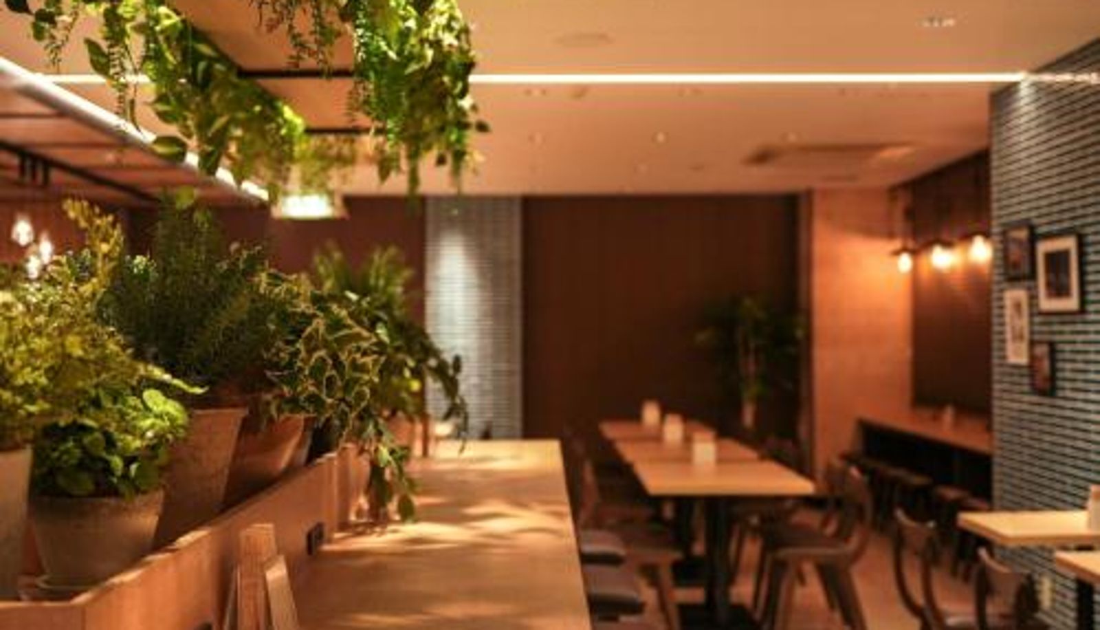 Zimmer - Super Hotel Hiroshima