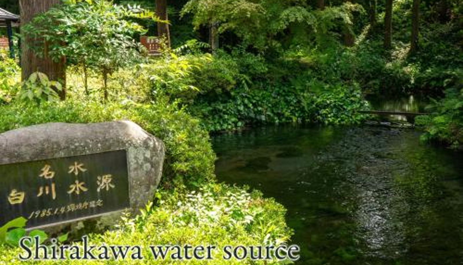 Info - Shikino Mori