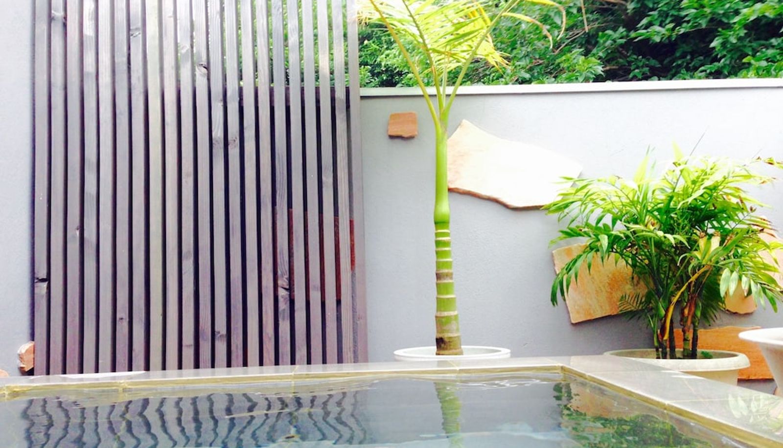 Pool - Beachside Inn Shirahama