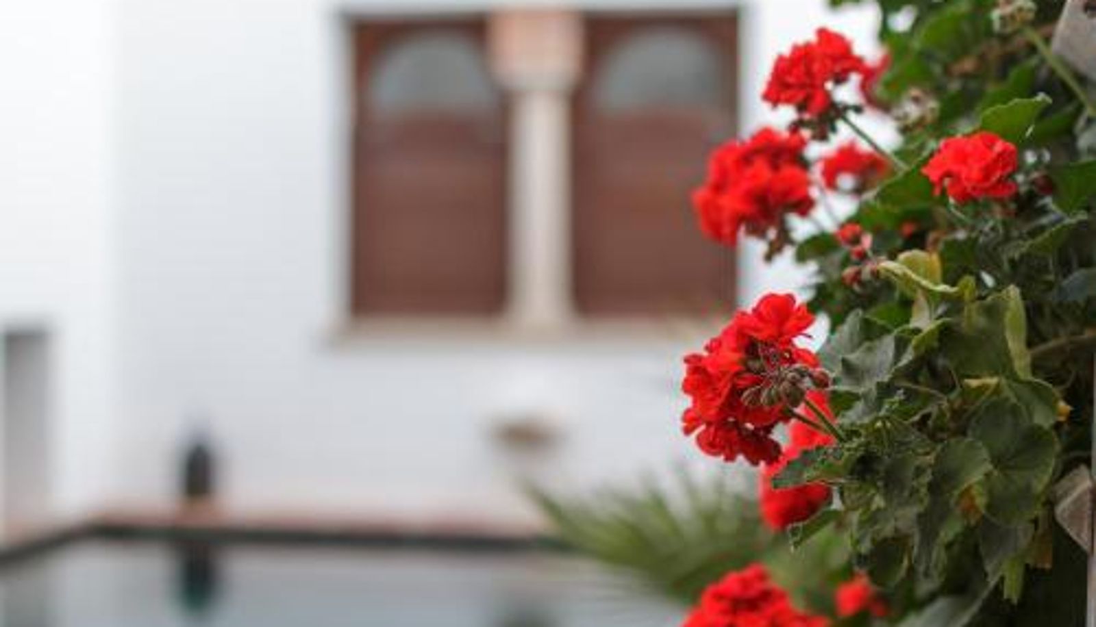 Basen - ApartaSuites Alberca Deluxe